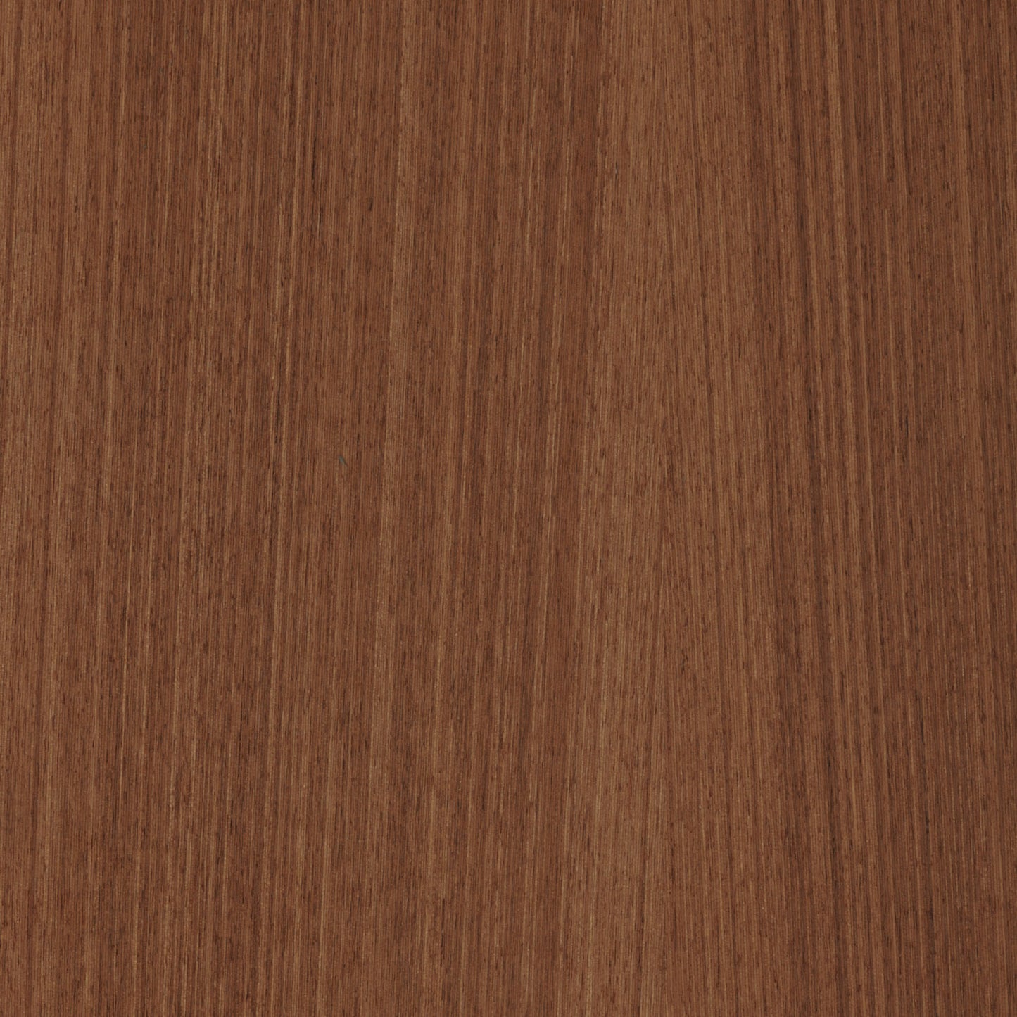 PureWood Quartered Golden Teak 115 Engineered Wood Veneer