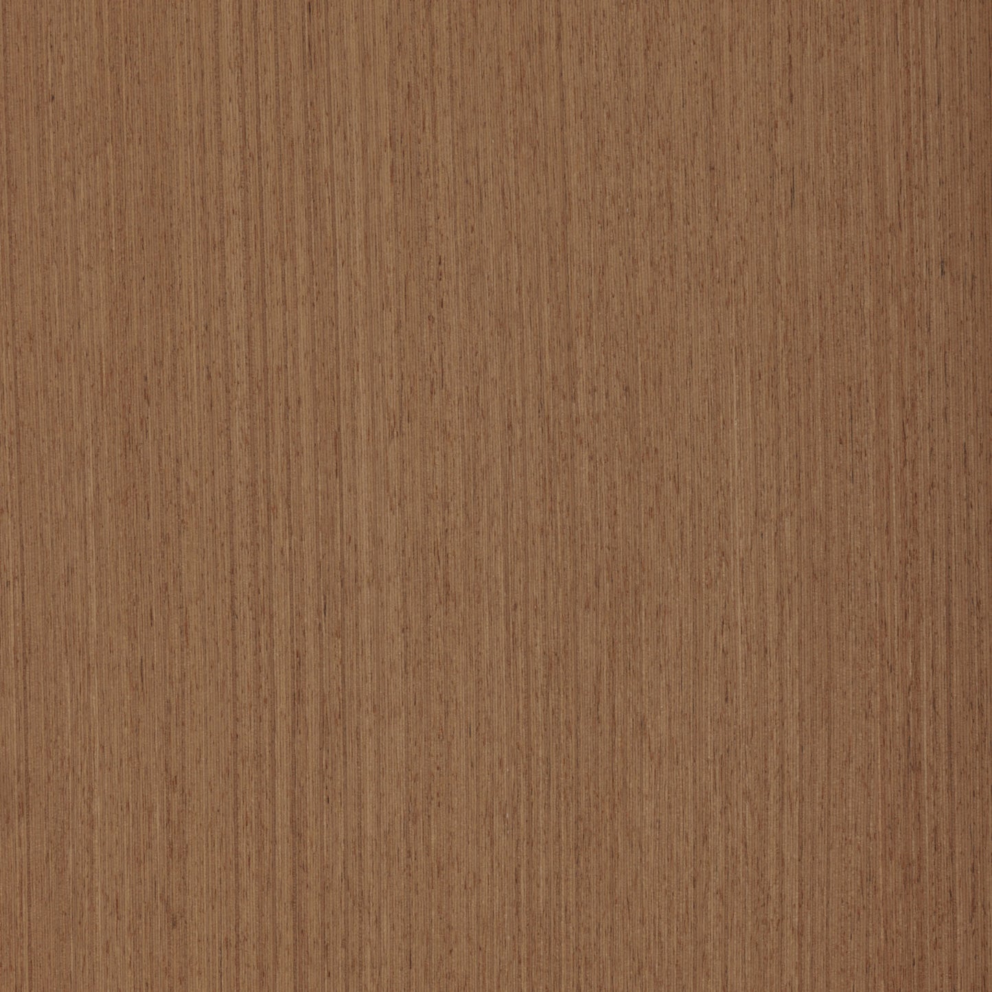 PureWood Quartered Teak II 137 Engineered Wood Veneer