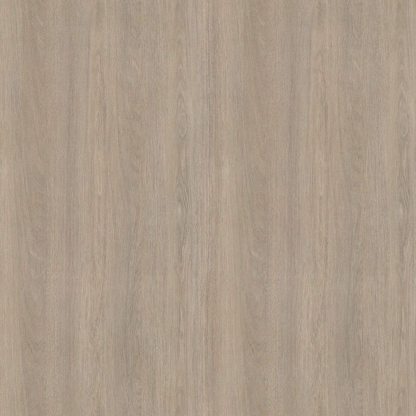 Egger Beige Grey Lorenzo Oak H3146 Laminate Sheet that Matches Decorative Panel