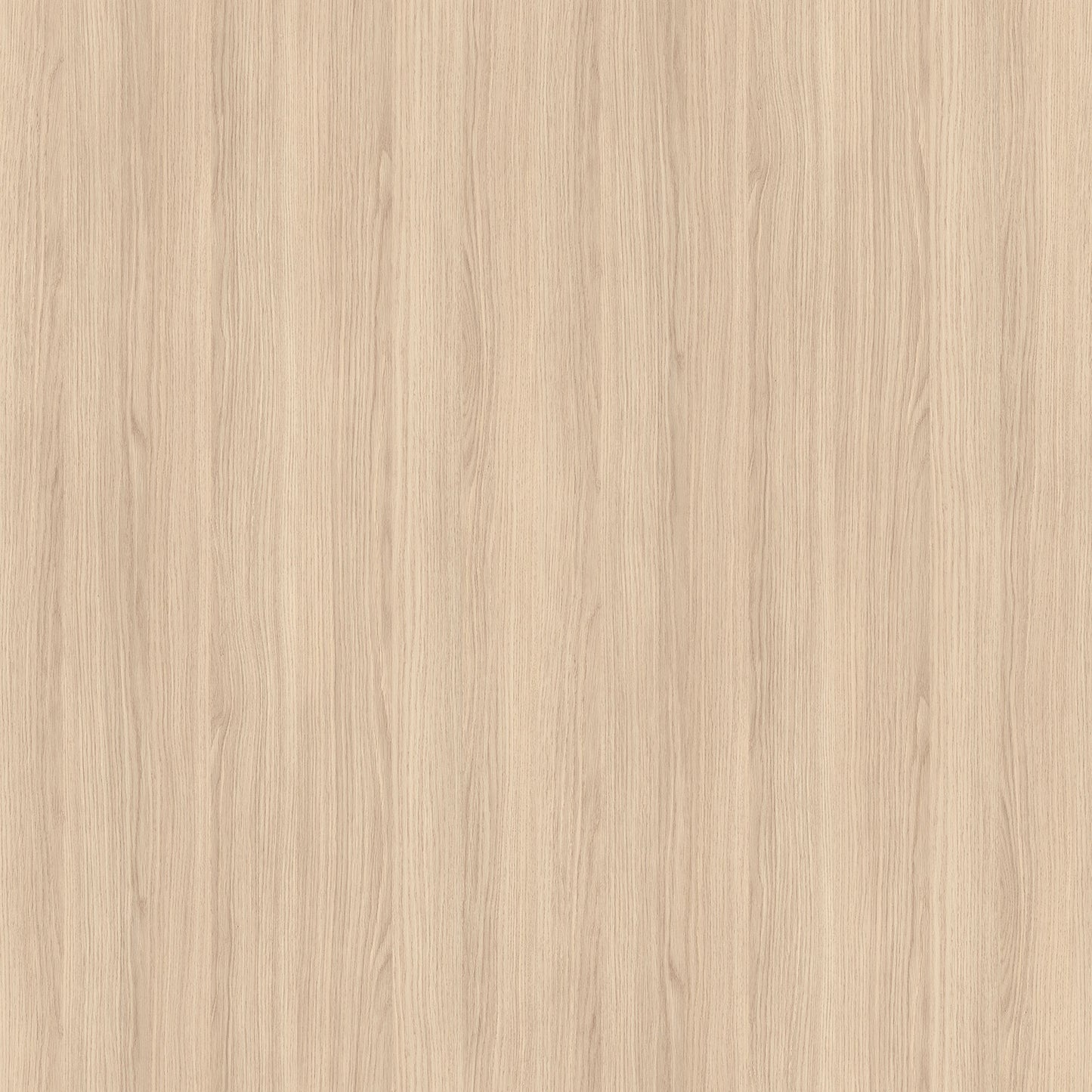 Egger Light Vincenza Oak H3165 Edgebanding Roll, Non-Glued