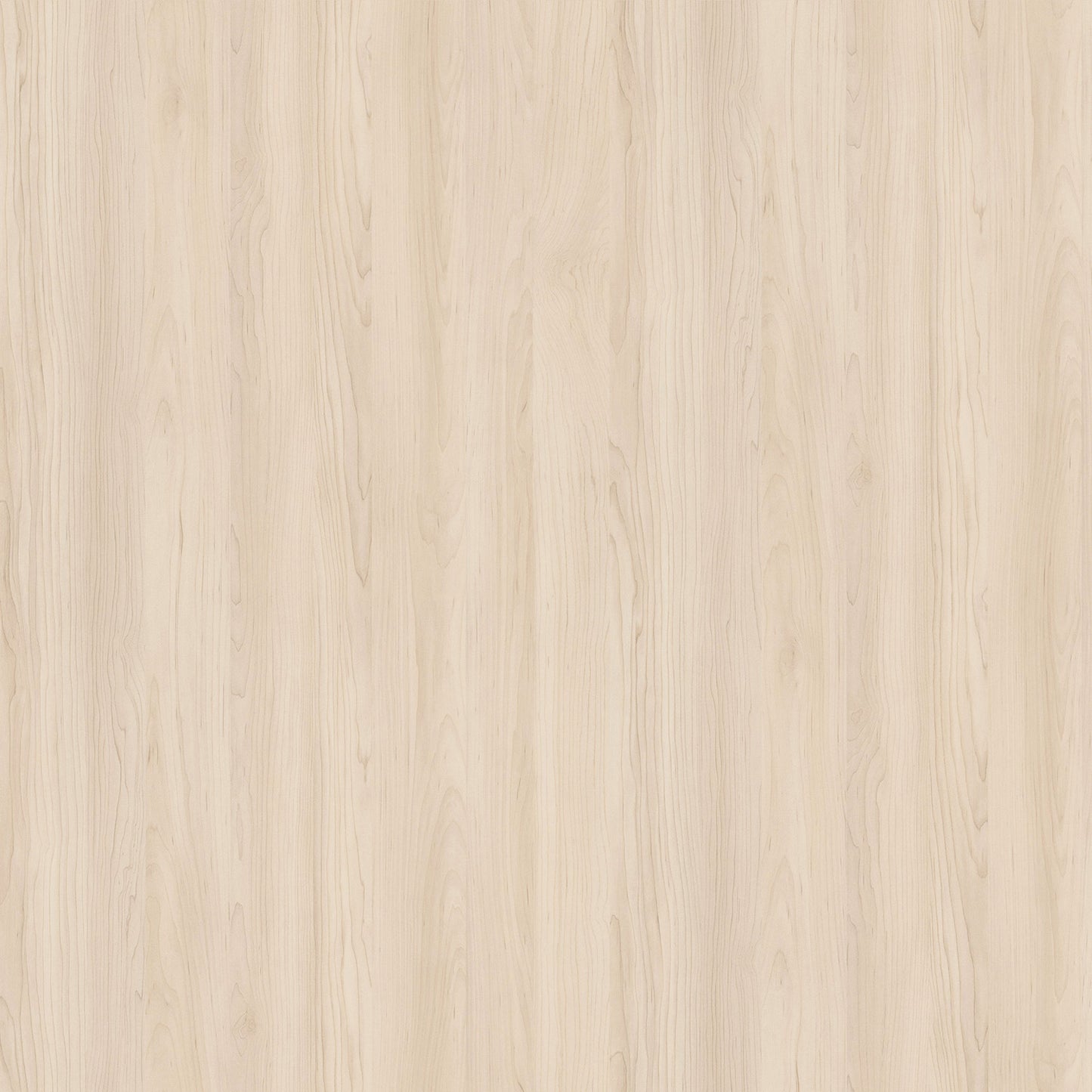 Egger Champagne Hard Maple H3860 Melamine Decorative Panel