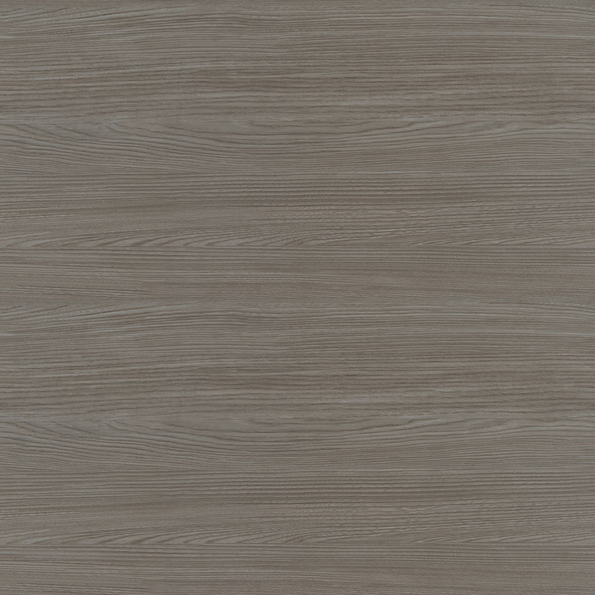 Formica Weathered Ash 8842 Laminate Sheet