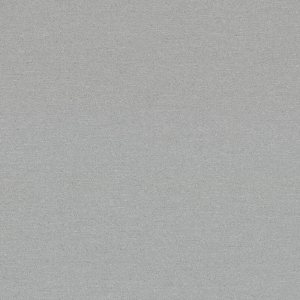 Nevamar Silver Dollar AG8000 Laminate Sheet