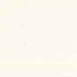 Mohawk Tone Finish Toner Rose Garden White