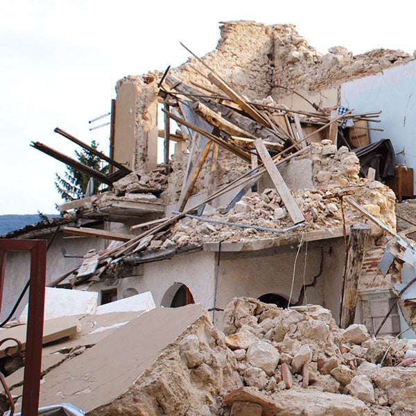 CMT Xtreme Demolition & Rescue Saw Blade