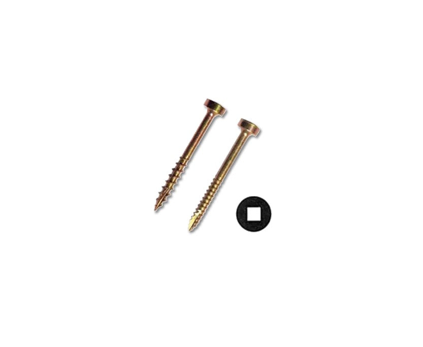 Fillister Head Screws | Intertek