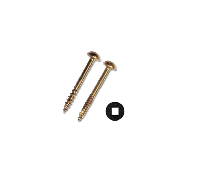Yellow Zinc Screws | Intertek