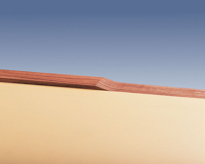 Virutex CE53S Edge Lipping Planer (120V)