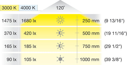 Hafele Loox5 1302 COB Complete LED Strip Light, Monochrome, High Intensity, 24V
