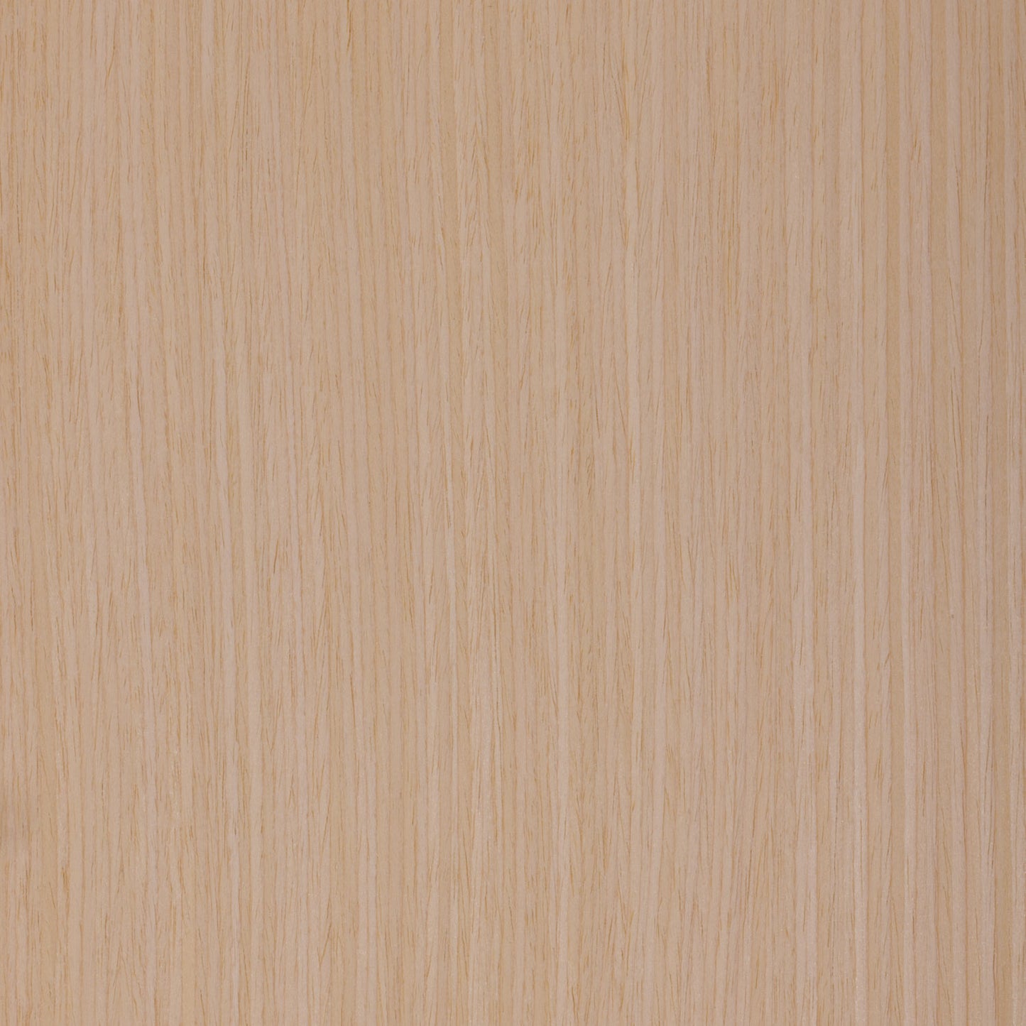 PureWood Quartered Maple 118 Engineered Wood Veneer