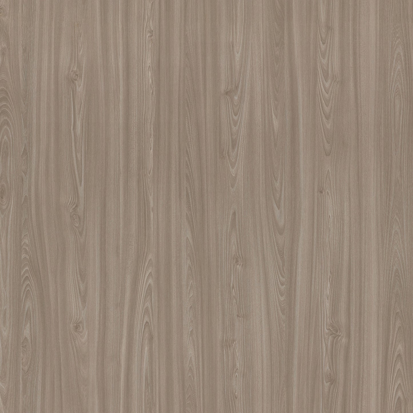 Egger Grey Beige Tossini Elm H1210 Edgebanding Roll, Non-Glued