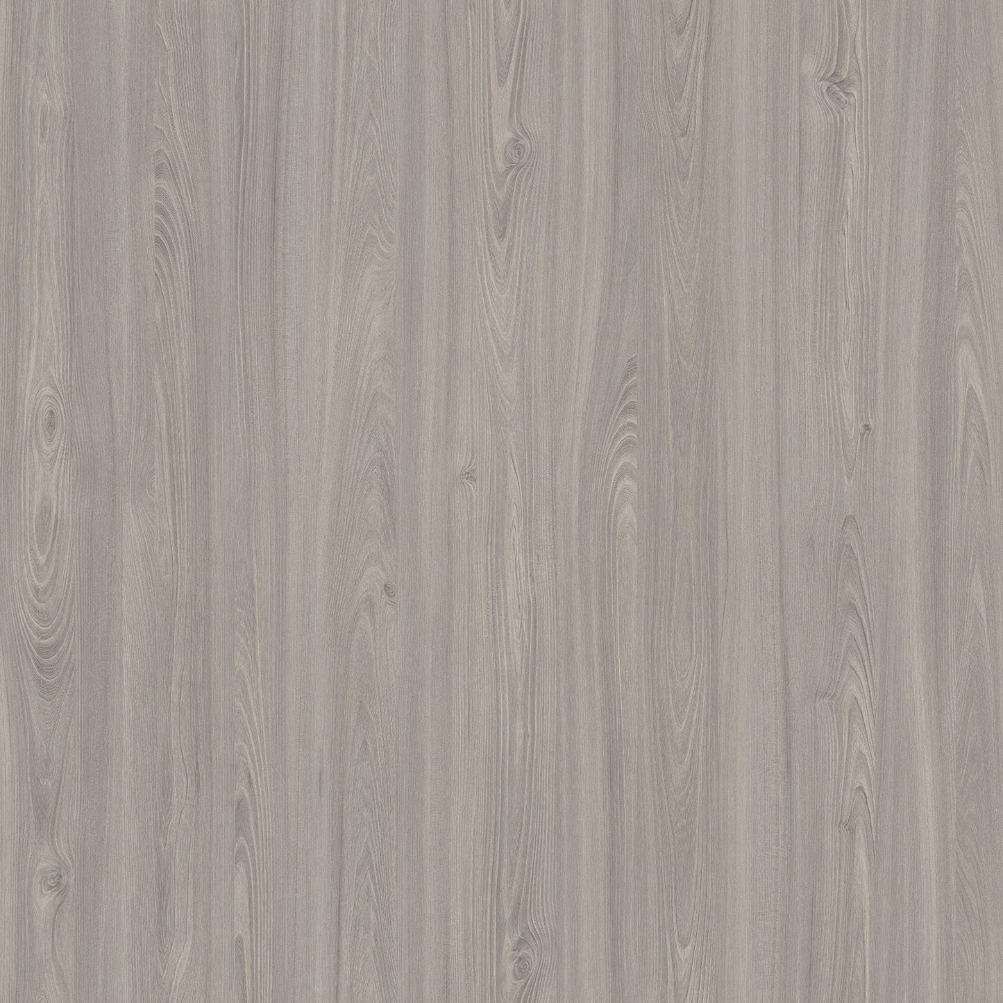 Egger Fox Grey Tossini Elm H1222 Laminate Sheet that Matches Decorative Panel