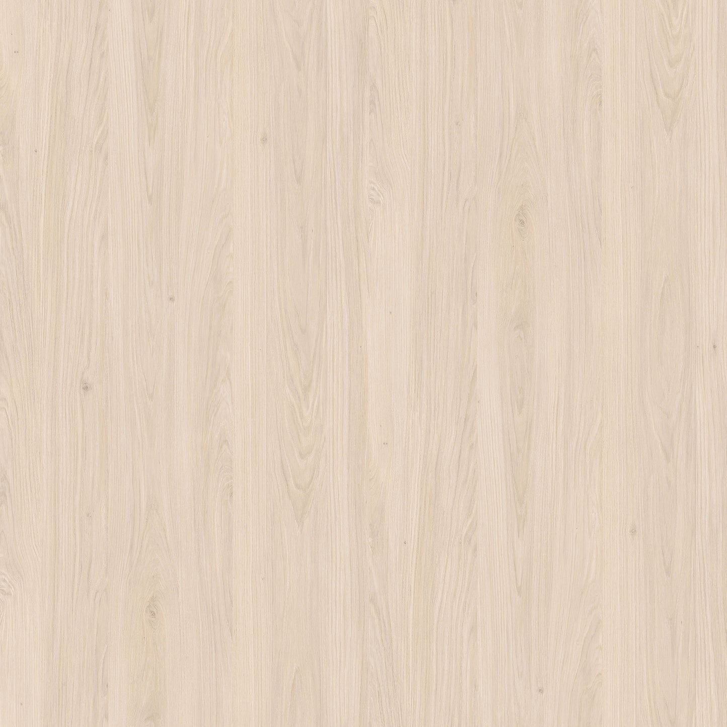 Egger White Casella Oak H1384 Laminate Sheet that Matches Decorative Panel