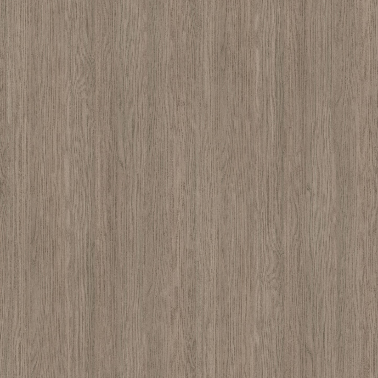 Egger Grey Vicenza Oak H3158 Melamine Decorative Panel