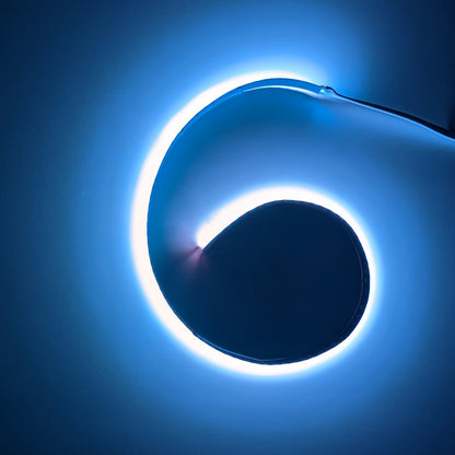 L&S Lighting 24V RGB Reel LED Strip Light