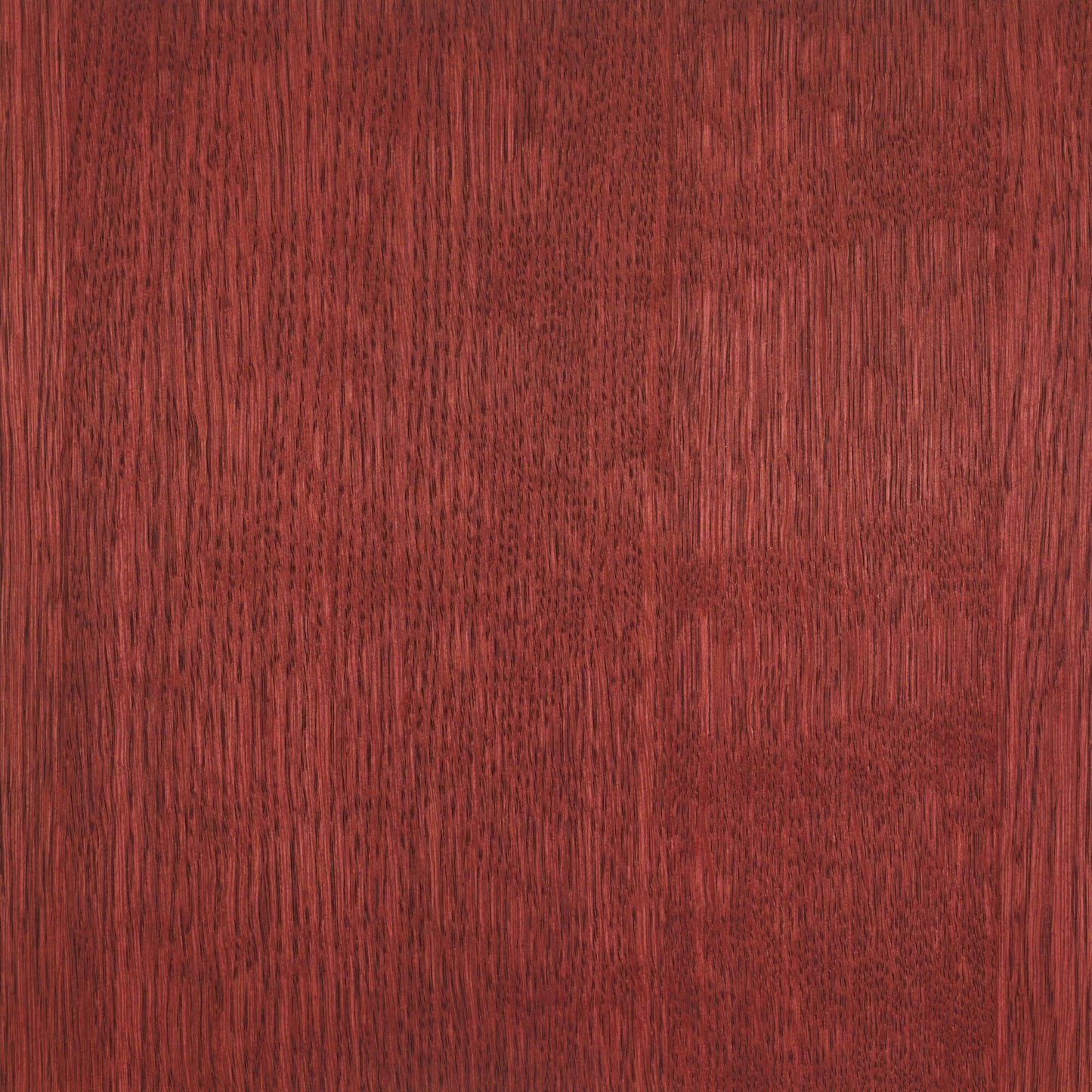 Rubio Monocoat 20 mL Oil Plus Part A Wood Finish, 0% VOC