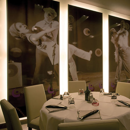 L&S Lighting Snite 120V High Performance LED Strip Light, Standard Lengths and Interconnectable