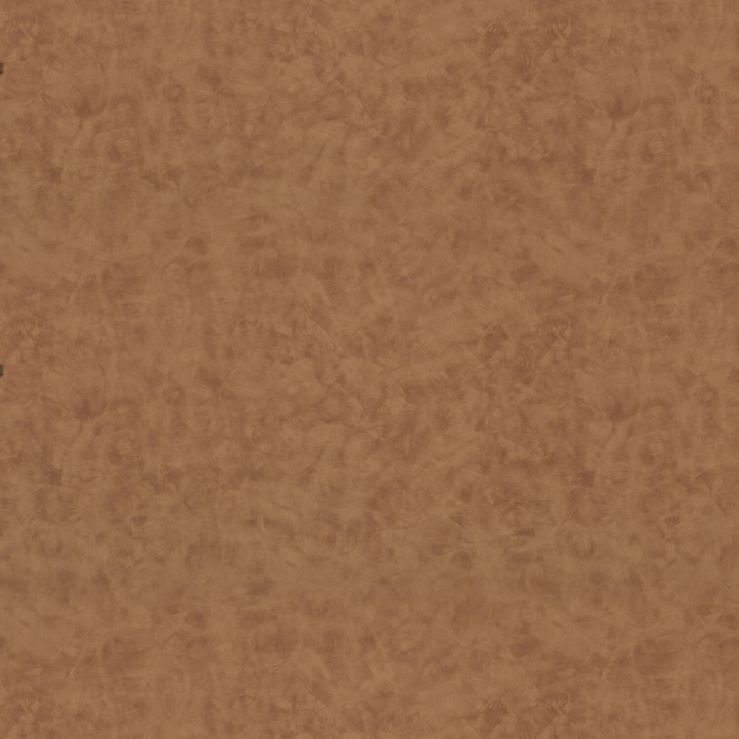 Wilsonart Antique Brush 4823 Laminate Sheet