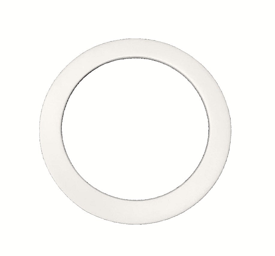 Fuji Spray GASKET ONLY for 2 Quart Pressure Pot
