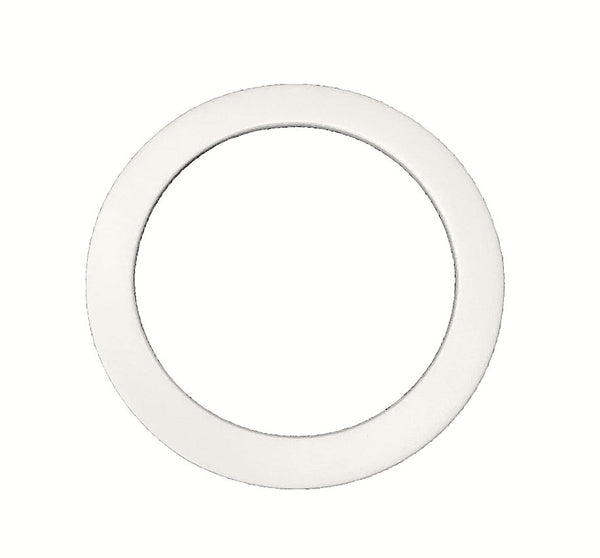 Fuji Spray GASKET ONLY for 2 Quart Pressure Pot