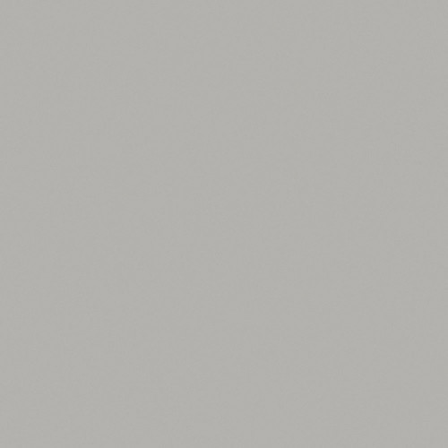 Formica Platinum 902 Laminate Sheet