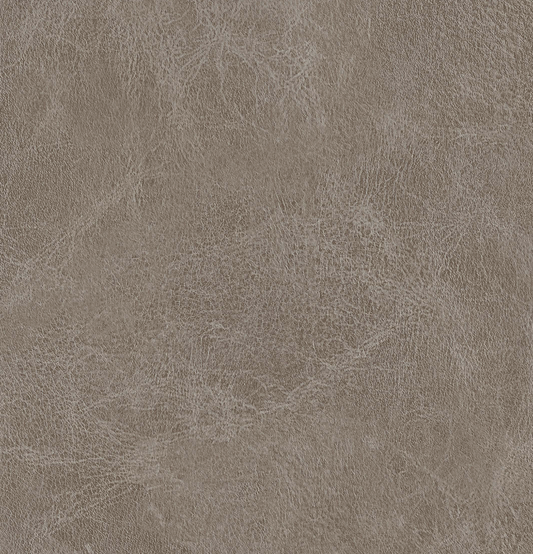 Pionite Cake Batter AG500 Laminate Sheet