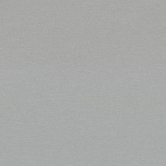 Nevamar Silver Dollar AG8000 Laminate Sheet