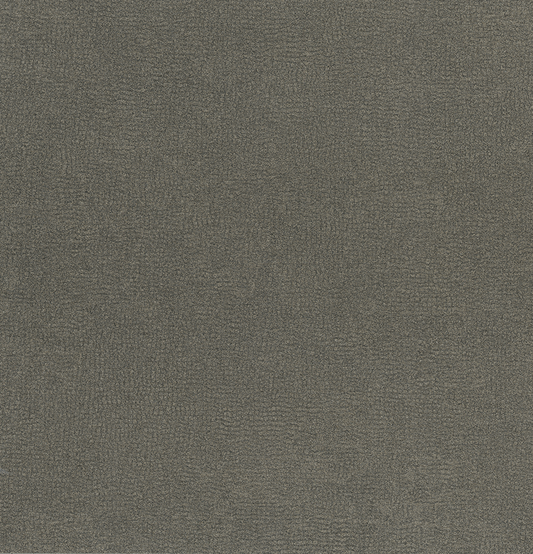 Pionite Passin Through AV250 Laminate Sheet