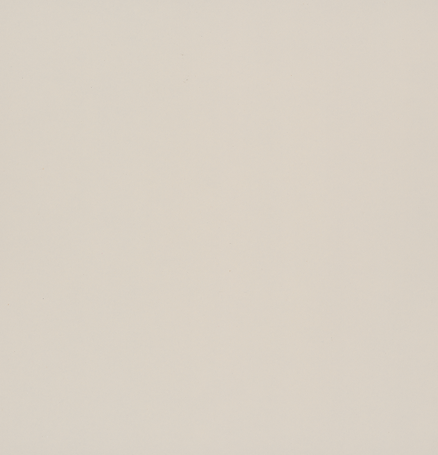 Pionite Birdal Blanco AW200 Laminate Sheet