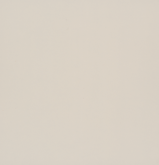 Pionite Birdal Blanco AW200 Laminate Sheet