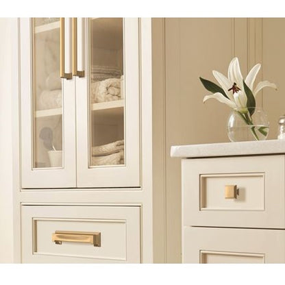 Amerock Appoint Knob