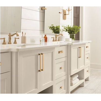 Amerock Appoint Knob