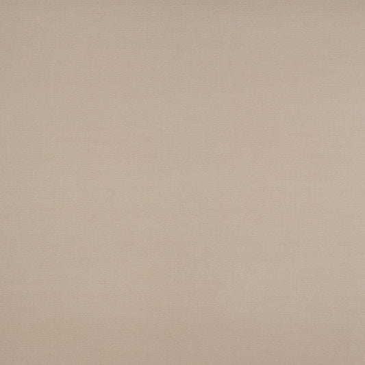 Pionite Beachcomber AT988 Laminate Sheet