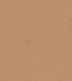 Kampel Colorflex Buckskin 8060/9060 Laminate Caulking (4 oz. or 10.5 oz)