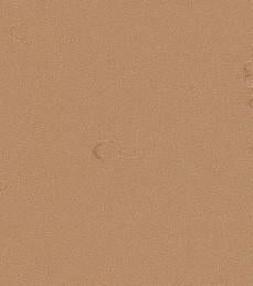 Kampel Colorflex Tan Bark 8061/9061 Laminate Caulking (4 oz. or 10.5 oz)