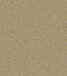 Kampel Colorflex Moss 8076/9076 Laminate Caulking (4 oz. or 10.5 oz)