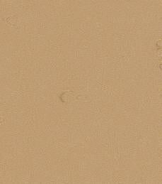 Kampel Colorflex Golden Ash 8058/9058 Laminate Caulking (4 oz. or 10.5 oz)