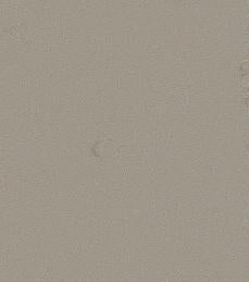 Kampel Colorflex Grey Suede 8081/9091 Laminate Caulking (4 oz. or 10.5 oz)