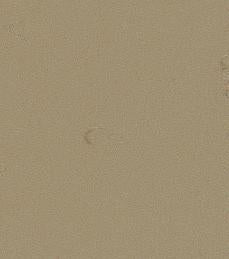 Kampel Colorflex Chameleon 8096/9096 Laminate Caulking (4 oz. or 10.5 oz)