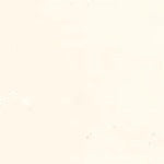 Mohawk Colored Lacquer Enamel Top Coat Dover