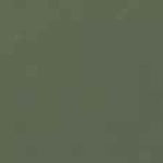 Mohawk Tone Finish Toner Moss