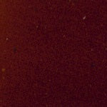 Mohawk Brush Tip Touch-Up Marker