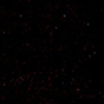 Mohawk Pro-Mark Touch-Up Marker