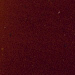 Mohawk Pro-Mark Touch-Up Marker