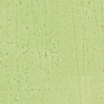 Mohawk Pro-Mark Touch-Up Marker