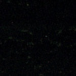 Mohawk Ultra Mark Touch-Up Marker Assortment 24 Pack