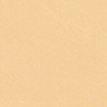 Mohawk Background Touch-Up Marker Champagne