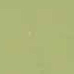 Mohawk Background Touch-Up Marker Antique Light Green (4469)