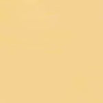 Mohawk Hard Fill Champagne 203