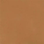 Mohawk Hard Fill Maple Carmel Toffee 161